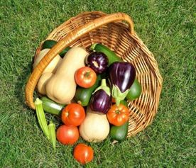 食品安全大于天，源頭把關(guān)是關(guān)鍵——陜西省市場監(jiān)管局召開食用農(nóng)產(chǎn)品批發(fā)環(huán)節(jié)質(zhì)量安全座談會(huì)